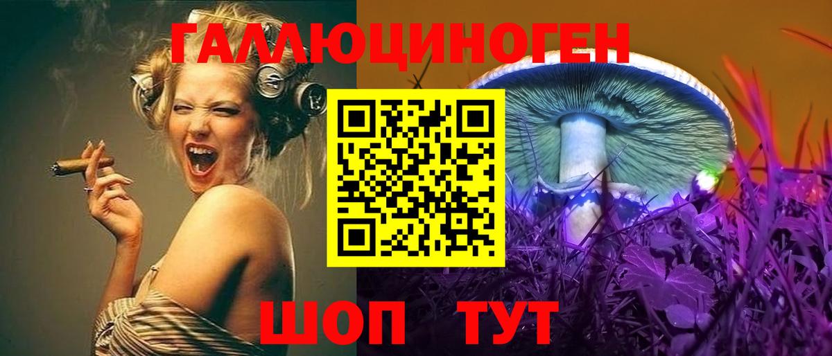 Галлюциногенные грибы GOLDEN TEACHER  Вход с VPN  Галлюциногенные грибы Psilocybine cubensis  Курчатов 
